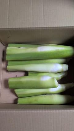 マコモダケ2kg千葉県産のサムネイル
