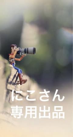 専用。ニューバランス☆スノーブーツのサムネイル