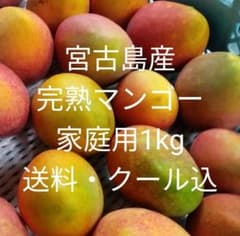 沖縄・宮古島産 完熟マンゴー家庭用1kg 送料・クール便込 - メルカリ