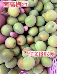 『即決可能』2Lサイズ2キロ　最後の商品のサムネイル