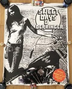 未使用】BLANKEY JET CITY ポスター ブランキージェットシティ - メルカリ