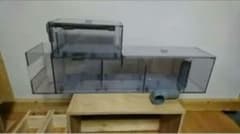 ぷぅ工房 の出品した商品 - メルカリ