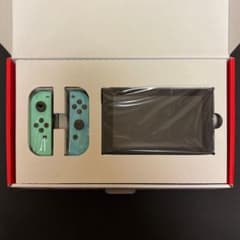 Nintendo Switch Joy-Cons, Animal Crossing: New Horizons console, Splatoon case