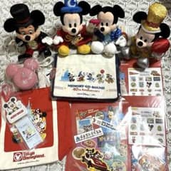 ディズニーランド 40周年 グッズ ディズニー ミッキー ぬいぐるみ 
