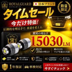 爆光 L1B LEDフォグ イエロー 純正LED交換 ポン付け ロイヤルガード
