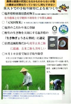 日本は食糧百%輸入みたい！ ７年産コシヒカリ 発芽用玄米10kg特別栽培①無農薬のサムネイル