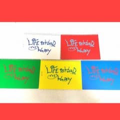ピカンチ・ハーフ ハルが渡したあのノートのサムネイル