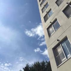 ロトム様専用のサムネイル