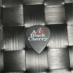 Acid Black Cherry ピックのサムネイル