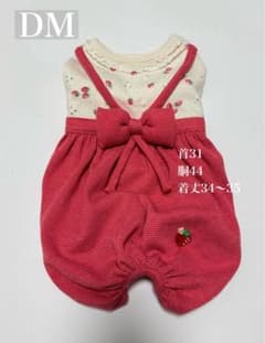 ダックスフンド服　オーダー受付ページ　ロンパース　つなぎ　犬服　苺　いちご m52307106032_1.jpg?1768295400