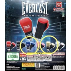 EVERLAST ボクシンググローブコレクション ゴールド　ブルーのサムネイル
