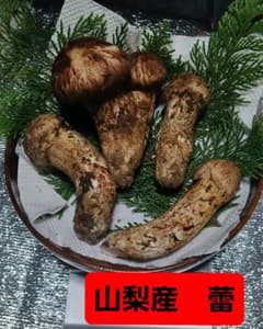 最終値下げ⑥山梨増富産 松茸355g 27日午前採取 - メルカリ