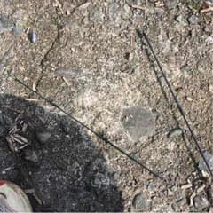 確認用のサムネイル
