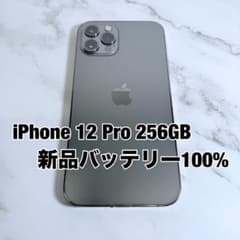 iPhone 12 Pro グラファイト 256GB /バッテリー100% ☆バッテリー100% iPhone 12 Pro 256GB SIMフリー - メルカリ