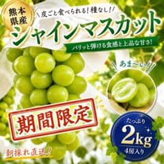 熊本県産 シャインマスカット 2kg 4房入りのサムネイル