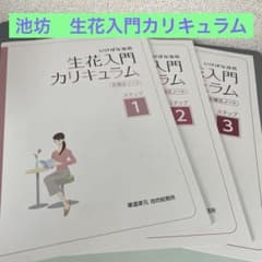 生花入門カリキュラム 池坊 - メルカリ