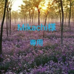 Mikachi様専用のサムネイル