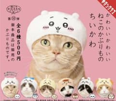 さおり様専用のサムネイル
