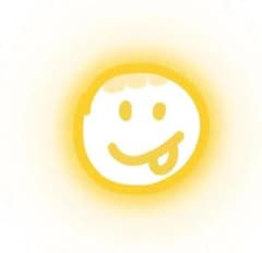 LAVA SUKALA プリントヨギラグ ピオニー - メルカリ