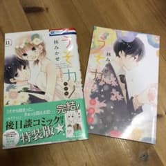 うそカノ 11 描き下ろし後日談コミック付き特装版のサムネイル