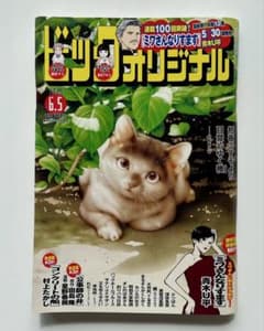 ビッグコミックオリジナル 2025年6月5号 No.11のサムネイル