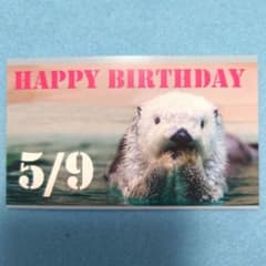 非売品】鳥羽水族館 5月9日 メイちゃん お誕生日 カード - メルカリ