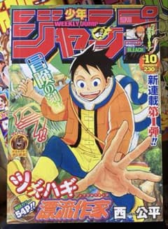 週刊少年ジャンプ 2006年10号 ONE PIECE名シーン《生ぎたい