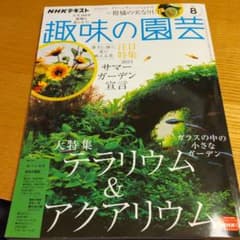 趣味の園芸　2021年8月号のサムネイル