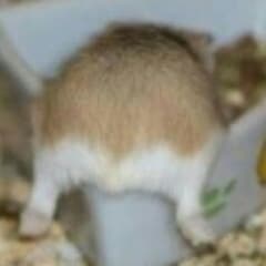 専用出品♥のサムネイル