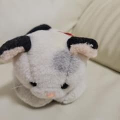 ALPS SHOJI ニャーニャーニャンコ 希少 昭和レトロ ぬいぐるみ 猫