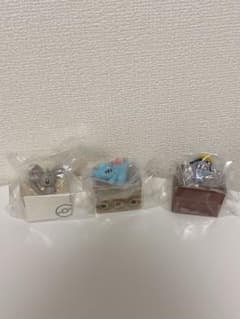 I found a Pokémon! Mascot Box Play Set: Minccino, Totodile, and Collectibles