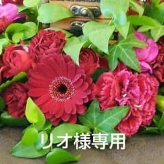 リオ様専用になりますのサムネイル