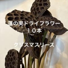蓮の実ドライフラワー 10本 茎付き - メルカリ