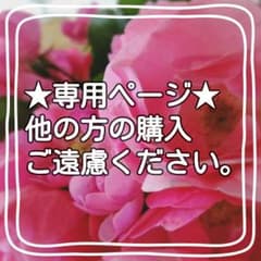 ちゃんかな様専用のサムネイル