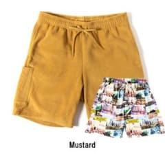 グリップスワニー　ポーラテックフリースショーツ、マナスタッシュのショートパンツ付