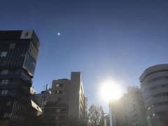 りこたま様専用のサムネイル