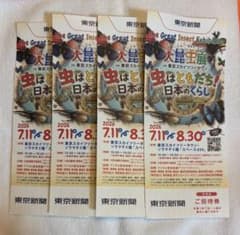 大昆虫展 4枚セット 2026のサムネイル