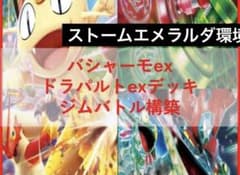 【環境デッキ】ドラパルトex＆バシャーモexデッキ【最新構築バシャドラパ】のサムネイル