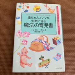 赤ちゃんとママが安眠できる魔法の育児書のサムネイル