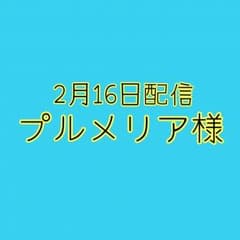 プルメリア様のサムネイル