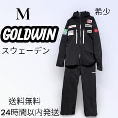 レア【GOLDWIN】スキー、スノボ スウェーデン ウェア セット M AUDI
