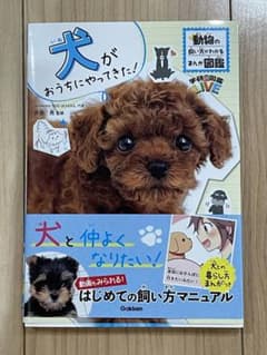 犬がおうちにやってきた!のサムネイル