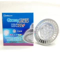 GrassyLeDio RX122 CR/グラッシーレディオ　122 コーラルのサムネイル