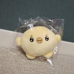ヨンジュン　トレカ　ぬいぐるみ　まとめ売り TXT ヨンジュン ぬいぐるみ 10㎝ トレカケース など セット - メルカリ
