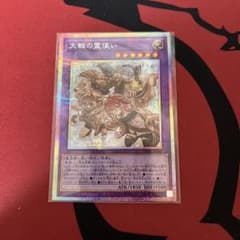 遊戯王 大輪の霊使い プリシク⑧ - メルカリ