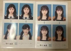市川妃莉 seju 証明写真 vol.2 2枚セットのサムネイル