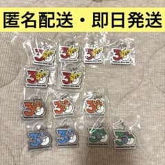 13点セット　ポケモン 30周年 メタルチャームマスコット めじるしアクセサリーのサムネイル
