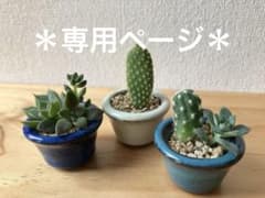 専用ページ　２点おまとめ♪のサムネイル