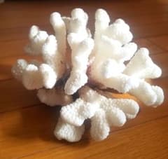 m52503544960_1.jpg?1669774150