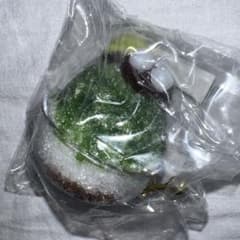 빙수 마스코트 열쇠 고리